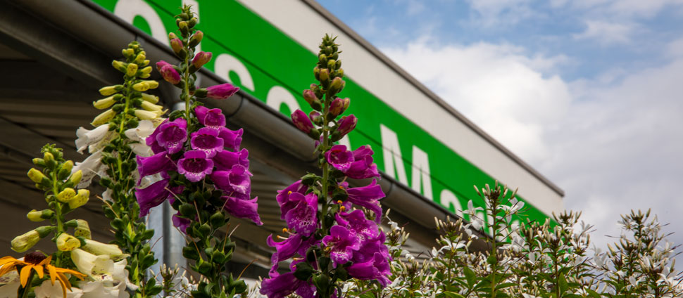 Blumenverkauf Wattenscheid